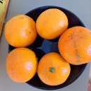 대진농장 이미지