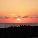 동일리-10 이미지