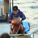 고성군 7 이미지