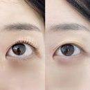 더블유다온 - 전주시 덕진구 송천로 47 | 송천동속눈썹펌 잘하는 더블유다온 :: 노글루 수분펌 받은 후기