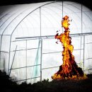 하우스 말로 이미지