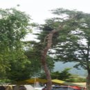 청운오토캠핑장 이미지