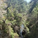 의림지민박 이미지