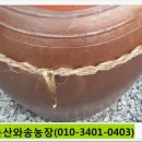 용골농장 네이버블로그