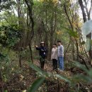 한경면 청수물마을 이미지