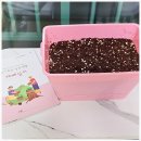 청사초롱마을 | 상추 집에서키우기 마을담아 청사초롱 재배키트로 쉽고 간편하게