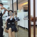 엘시크헤어살롱