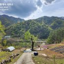 (임야)상남면 미산리19050평 1억1천4백만원 이미지