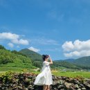 남해촌캉스 이미지