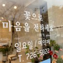 순천꽃집 엘리플라워 네이버블로그