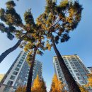 골프존파크 여수성남시청 이미지