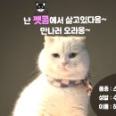 펫콩 이미지