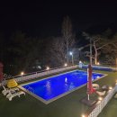 행복 애견방 이미지