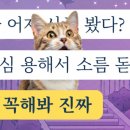 (주)천원사