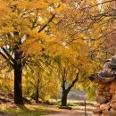 장현1리 이미지