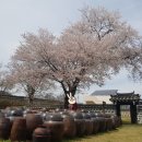 예산군대흥보건지소 이미지