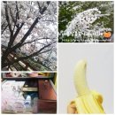 짱싸요