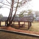 화천박물관 이미지