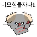 솔빛안과의원 이미지