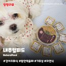 소.화식당 | 강아지화식 내추럴피드 | 입짧은 반려견 6가지 맛 최강 기호성 자연식 후기