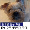 원당동물병원 이미지