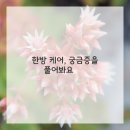 대구 시원한방병원 이미지