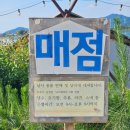 포천 글램핑 해와달 낚시방갈로 H동 11번 내돈내산 후기