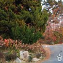 양지팬션 이미지