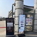 화폐박물관 | 6살 아이랑 강릉 오죽헌 시립박물관 &amp; 화폐박물관 후기