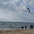 대천스포츠 | 대천해수욕장