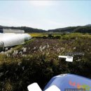 체인지부동산공인중개사사무소 이미지