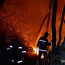 석지자원 이미지