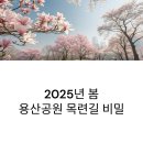 마장공원(산곡남중 옆) | 용산공원 목련길, 언제 가야 가장 예쁠까? 봄날 최고의 산책 루트