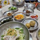 죽천마을회관 | 물회 먹으러 다녀온 포항 죽천회타운