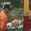 황구농장 이미지