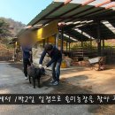 염소 농장 이미지