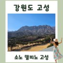 가나당구장 | 소노 델피노 고성. 소노캄 클린룸 예약 방법과 이용후기