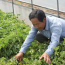 권오선농장 이미지