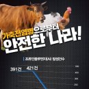 우리소우리돼지