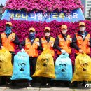 공공용 31 이미지