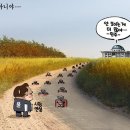 11월4일