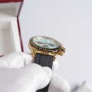 데이토나 이미지