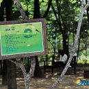 개구리노래광장