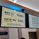 황실장어 이미지