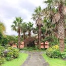 팜밸리리조트 이미지