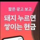 돈이돼지 | 돈이돼지 앱 사용후기(앱테크)