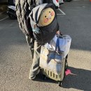 효성사우나 | [결혼•임신] 대구 자궁근종_효성병원_자궁근종 제거 수술 이후 퇴원 및 회복 후기