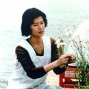 코지Ⅰ 이미지