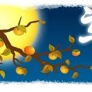 행정사 양승인 사무소 이미지