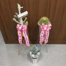 천우건업(주) 네이버블로그